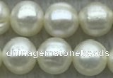 FWP72 15 inches 7mm - 8mm potato white freshwater pearl strands