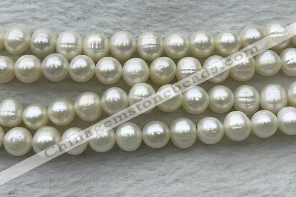 FWP80 15 inches 7mm - 8mm potato white freshwater pearl strands