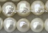 FWP81 15 inches 7mm - 8mm potato white freshwater pearl strands