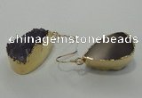 NGE04 12*25mm - 15*30mm freeform druzy amethyst earrings wholesale