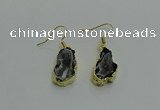 NGE263 13*18mm - 15*20mm freeform druzy agate earrings