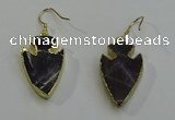 NGE5004 18*25mm - 20*30mm arrowhead amethyst earrings