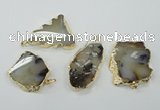 NGP1146 25*35mm - 40*60mm freeform agate pendants with brass setting