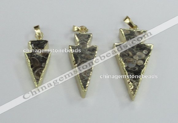 NGP2484 15*30mm - 22*40mm arrowhead ammonite gemstone pendants