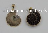 NGP4069 25*30mm – 30*35mm carved ammonite pendants wholesale