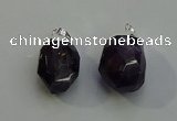 NGP6017 18*30mm - 22*35mm freeform amethyst pendants