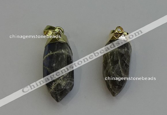 NGP6245 12*28mm - 15*30mm faceted bullet labradorite pendants