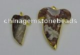 NGP6691 25*30mm - 30*40mm tooth agate gemstone pendants wholesale