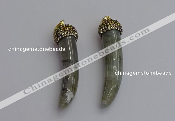 NGP7310 8*50mm - 10*55mm oxhorn labradorite pendants wholesale