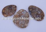 NGP955 5PCS 35-55mm*50-65mm freeform jasper gemstone pendants