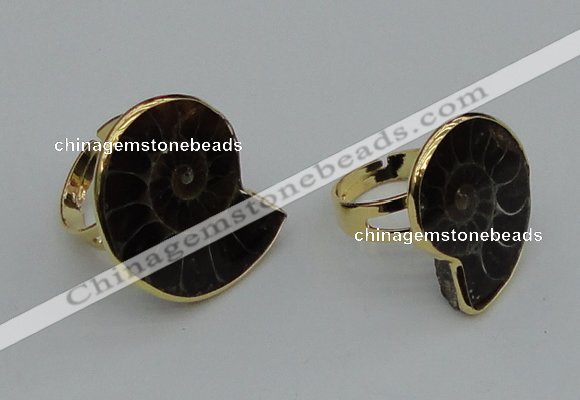 NGR206 25*25mm – 25*30mm carved ammonite rings wholesale